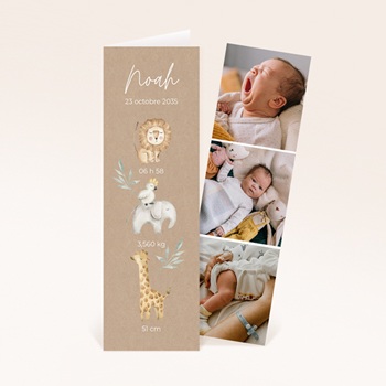 Jungle & Cie, 2 en 1