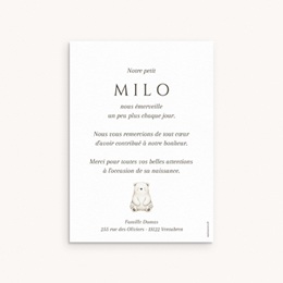 Nouveautés Carte de Remerciement Naissance Douce envolée pas cher