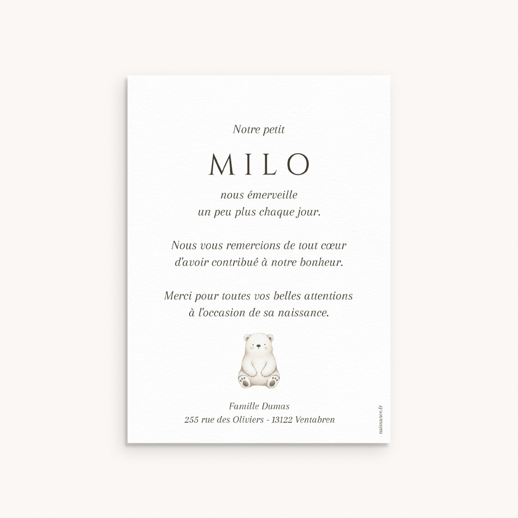 Nouveautés Carte de Remerciement Naissance Douce envolée pas cher
