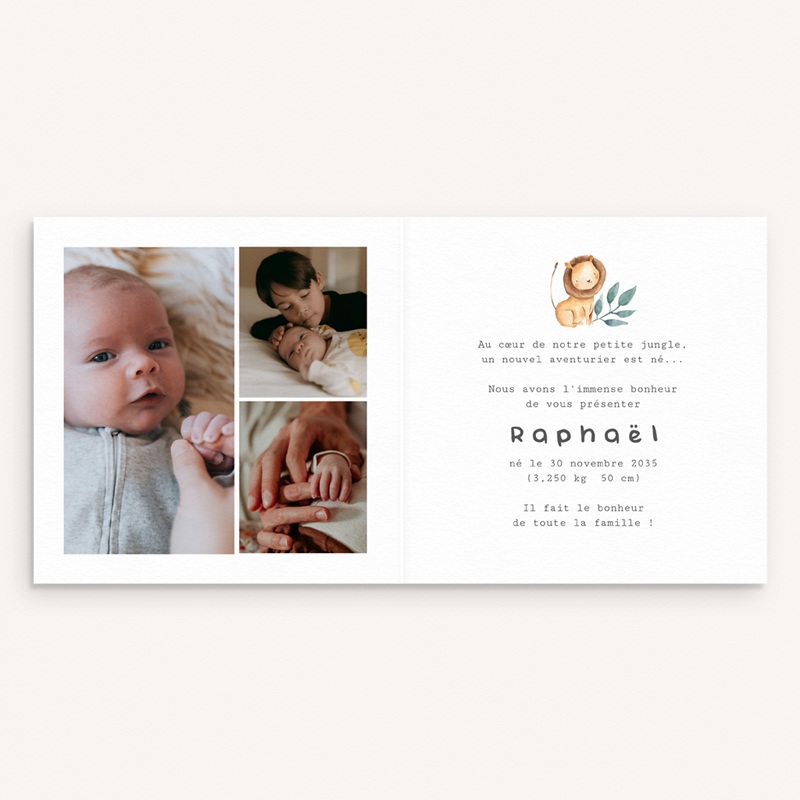 Faire-part de Naissance Les Amis de la Jungle pas cher
