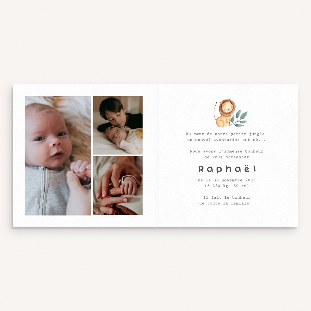 Faire-part de Naissance Les Amis de la Jungle pas cher
