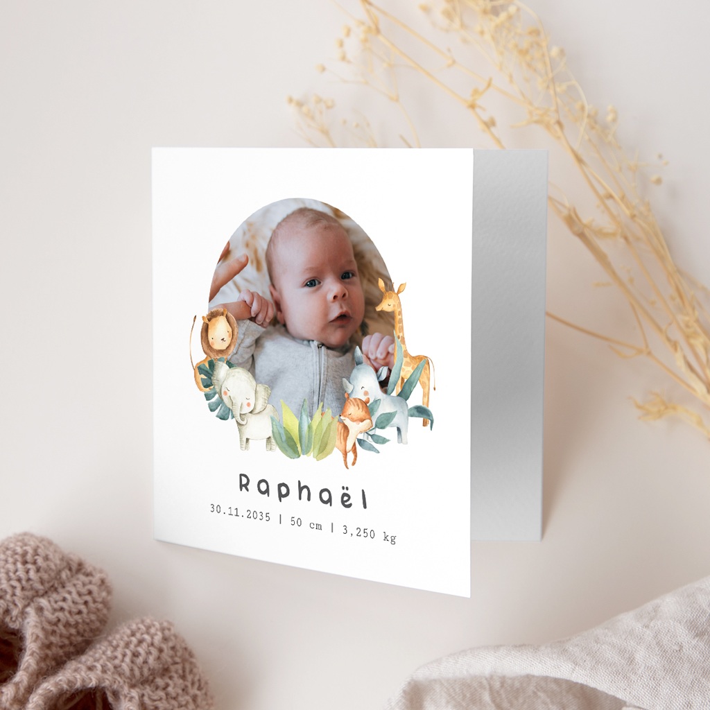 Faire-part de Naissance Les Amis de la Jungle gratuit