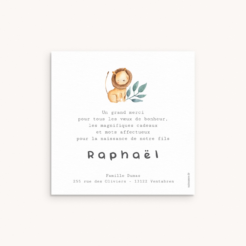Nouveautés Carte de Remerciement Naissance Les Amis de la Jungle pas cher