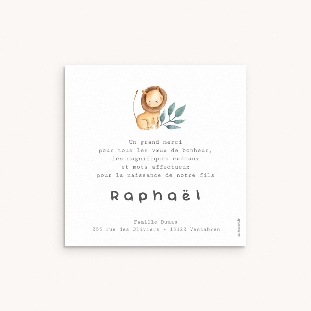 Nouveautés Carte de Remerciement Naissance Les Amis de la Jungle pas cher