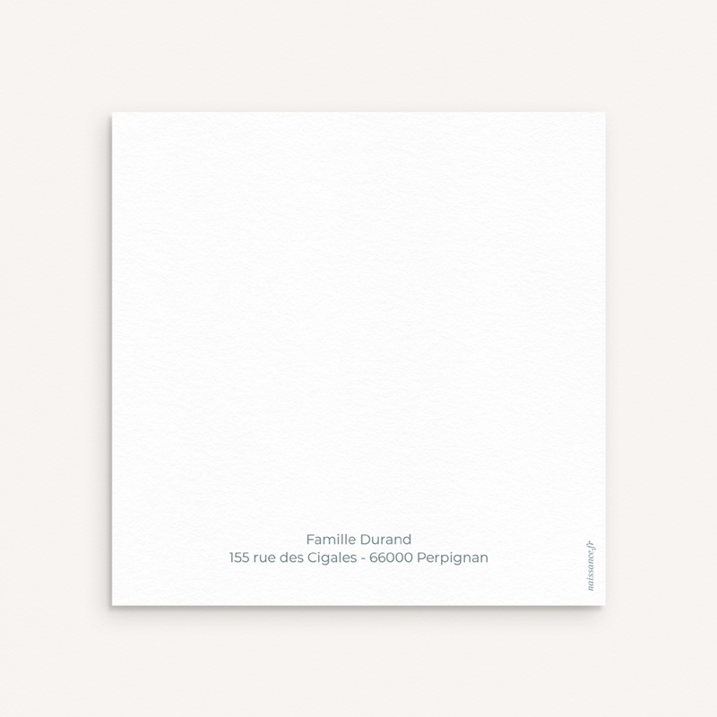 Carte de Remerciement Naissance Tout en Tendresse II