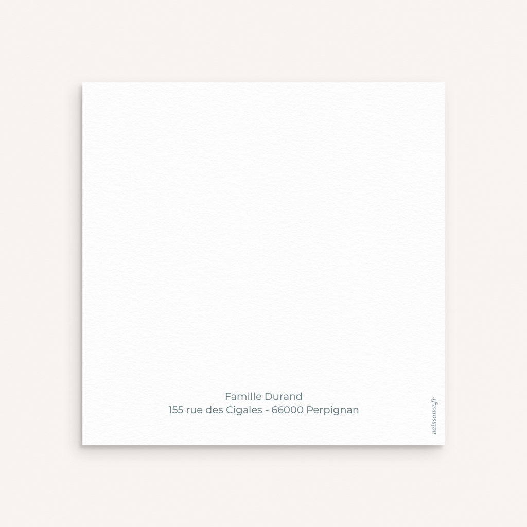 Carte de Remerciement Naissance Tout en Tendresse II Carte de Remerciement Naissance Tout en Tendresse II