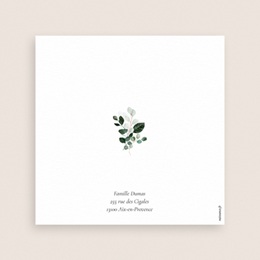 Faire-part de Bapt&ecirc;me Souffle d&rsquo;Eucalyptus
