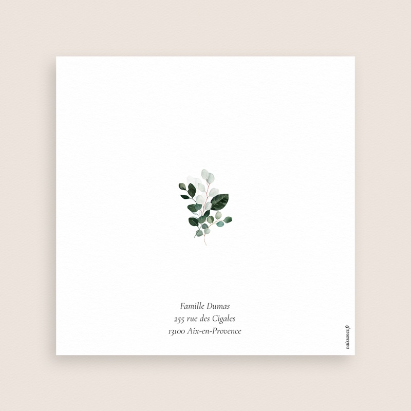 Faire-part de Bapt&ecirc;me Souffle d&rsquo;Eucalyptus