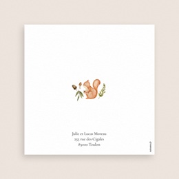 Faire-part de Bapt&ecirc;me Un Souffle de Nature