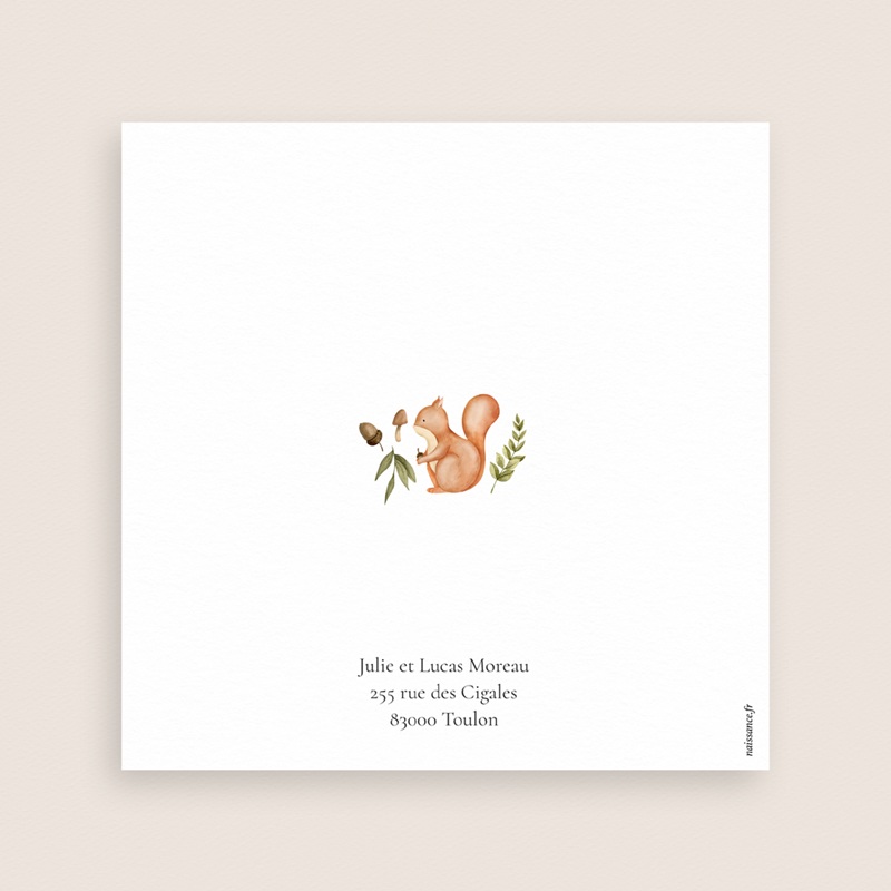 Faire-part de Bapt&ecirc;me Un Souffle de Nature