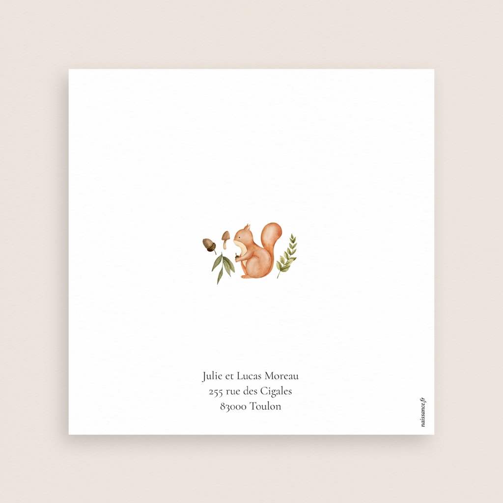 Faire-part de Bapt&ecirc;me Un Souffle de Nature