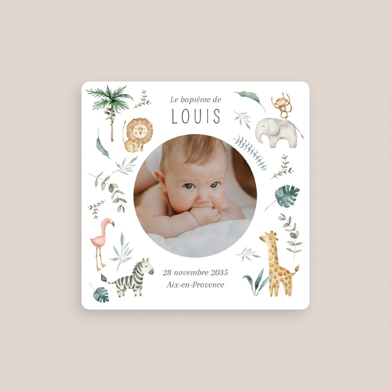 Faire-part de Bapt&ecirc;me B&eacute;ni dans la Nature gratuit