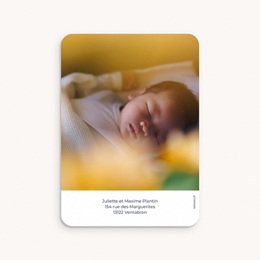 Faire-part de Naissance Une Vie en Couleurs pas cher