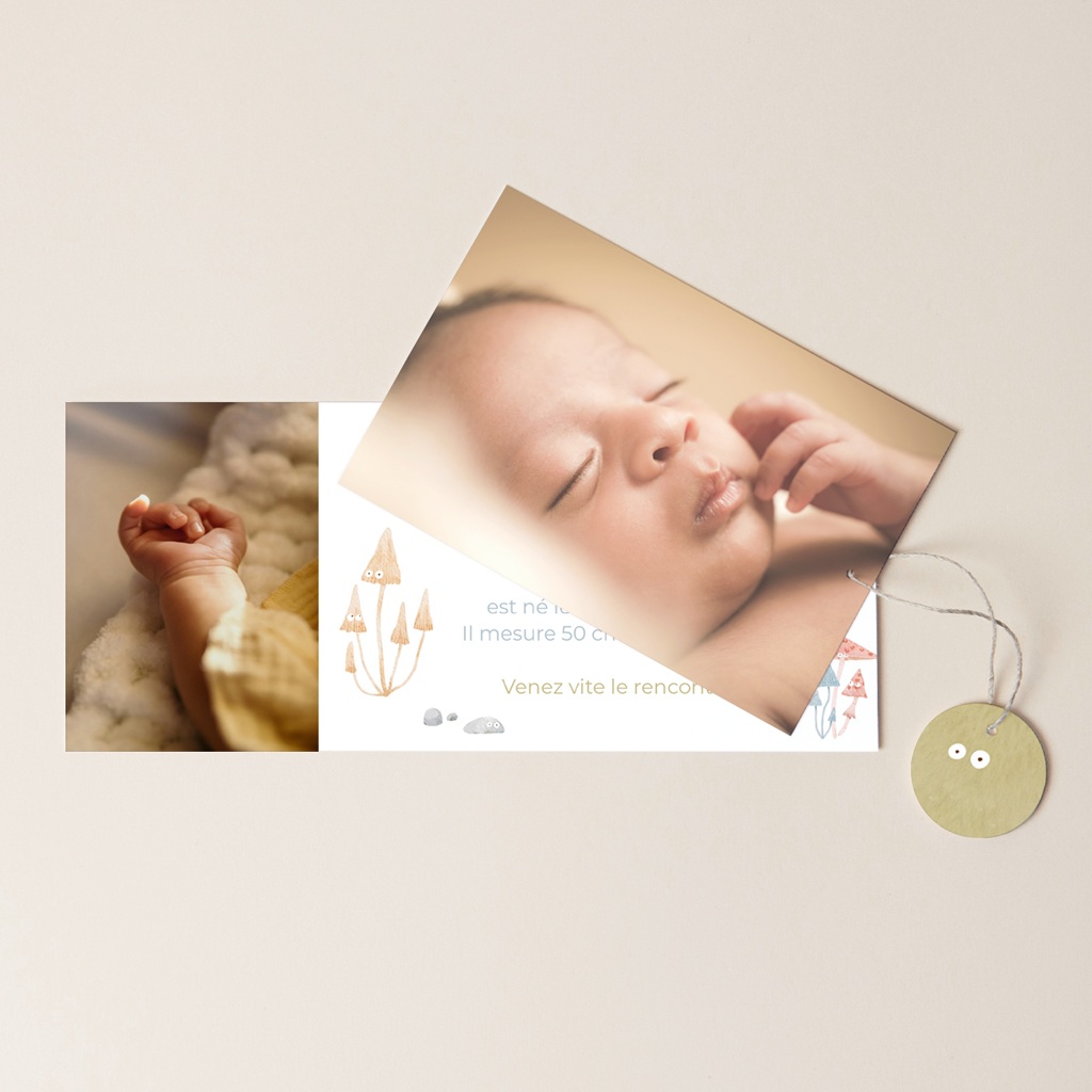 Faire-part de Naissance Sous-bois enchant&eacute; pas cher