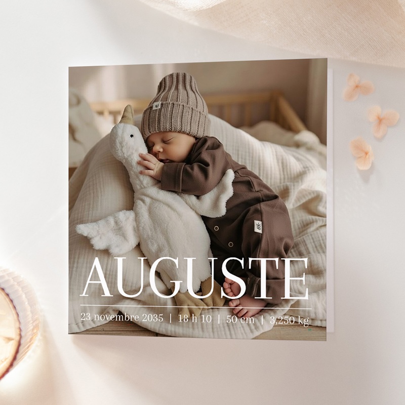 Faire-part de Naissance Le murmure des ailes