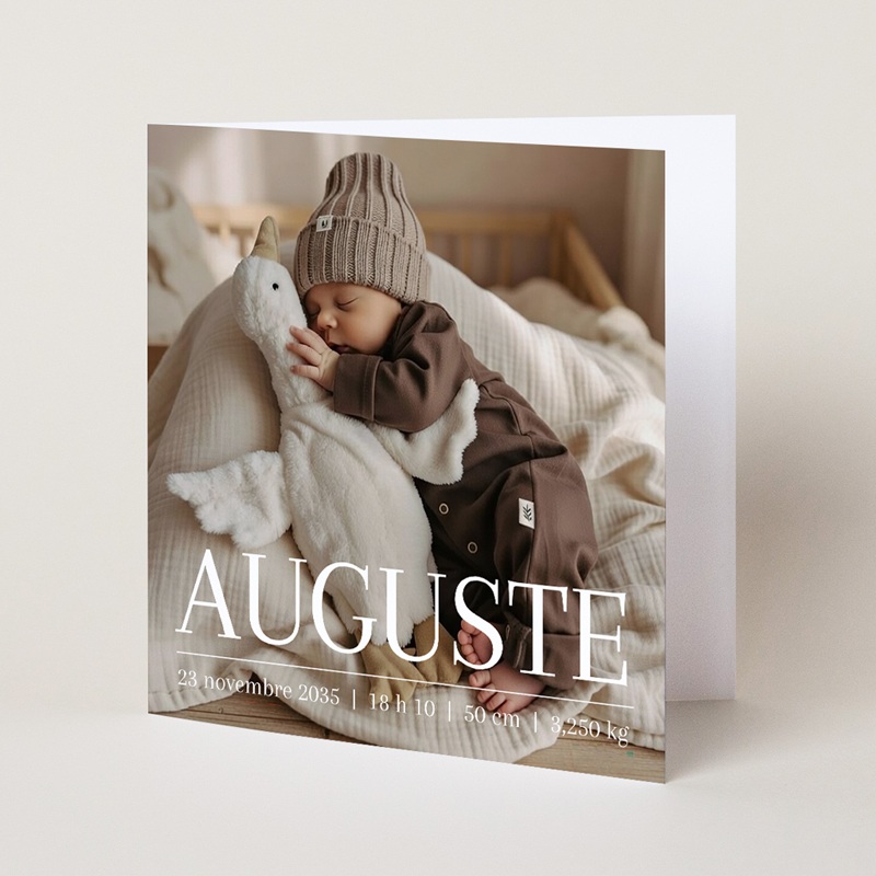 Faire-part de Naissance Le murmure des ailes pas cher