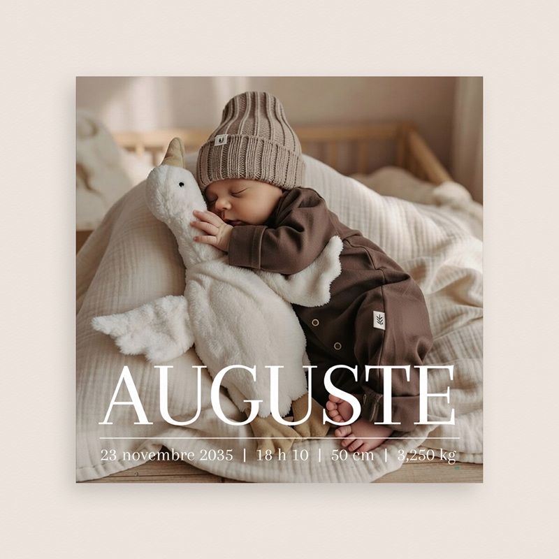 Faire-part de Naissance Le murmure des ailes gratuit