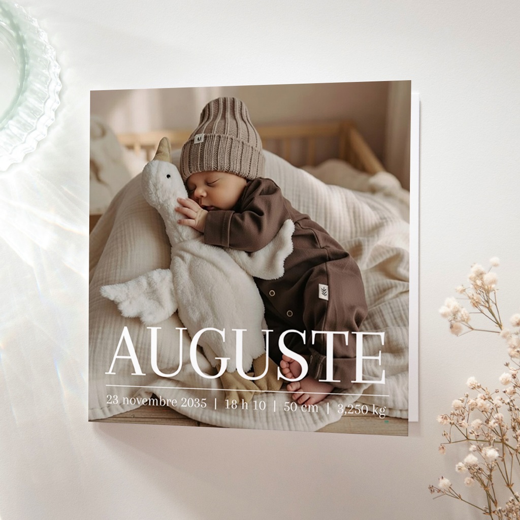 Faire-part de Naissance Le murmure des ailes