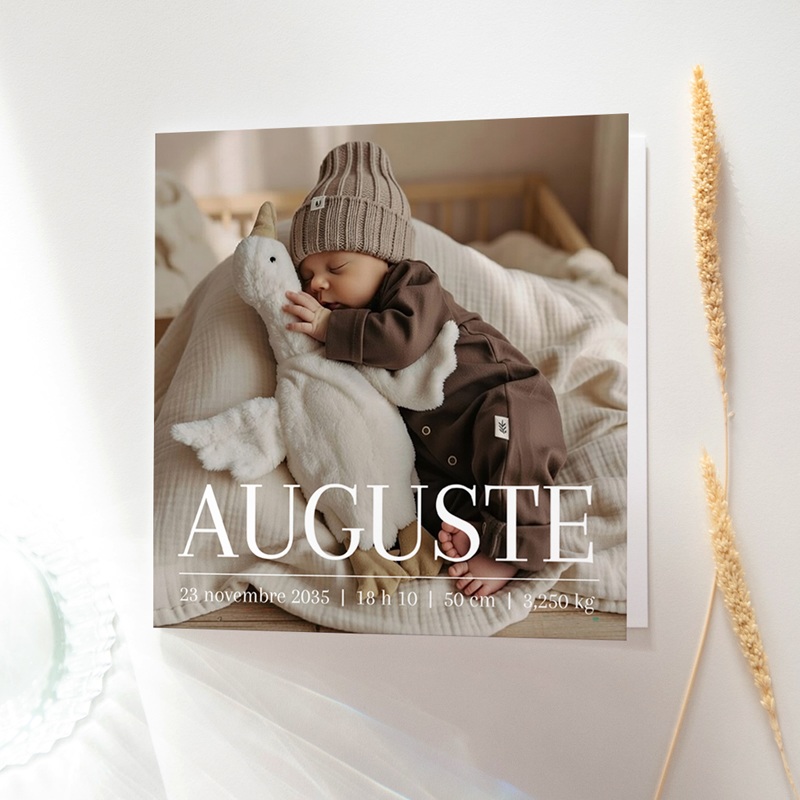 Faire-part de Naissance Le murmure des ailes